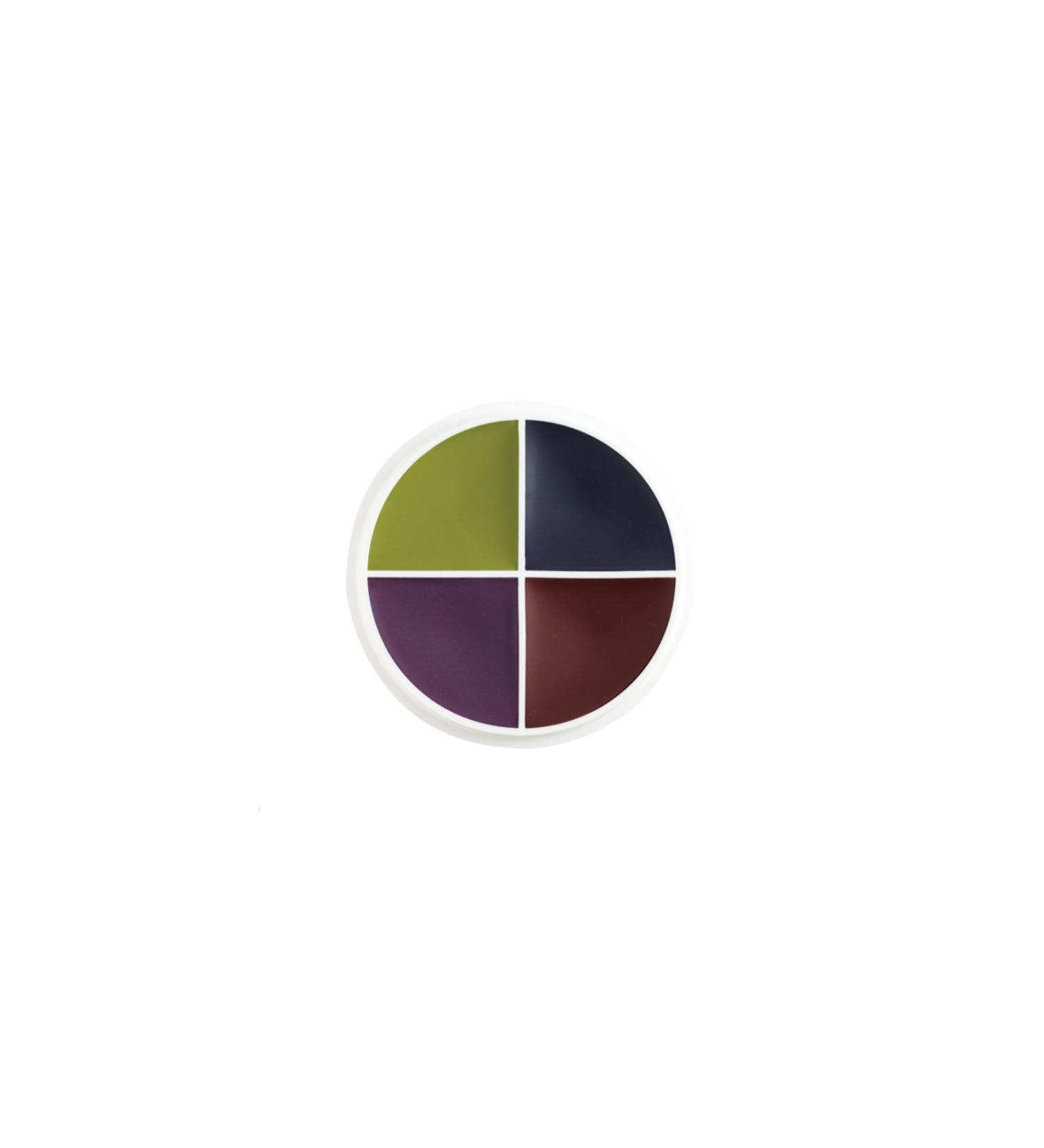 BenNye F/X COLOR WHEEL BRUISES (bruise bruise palette)