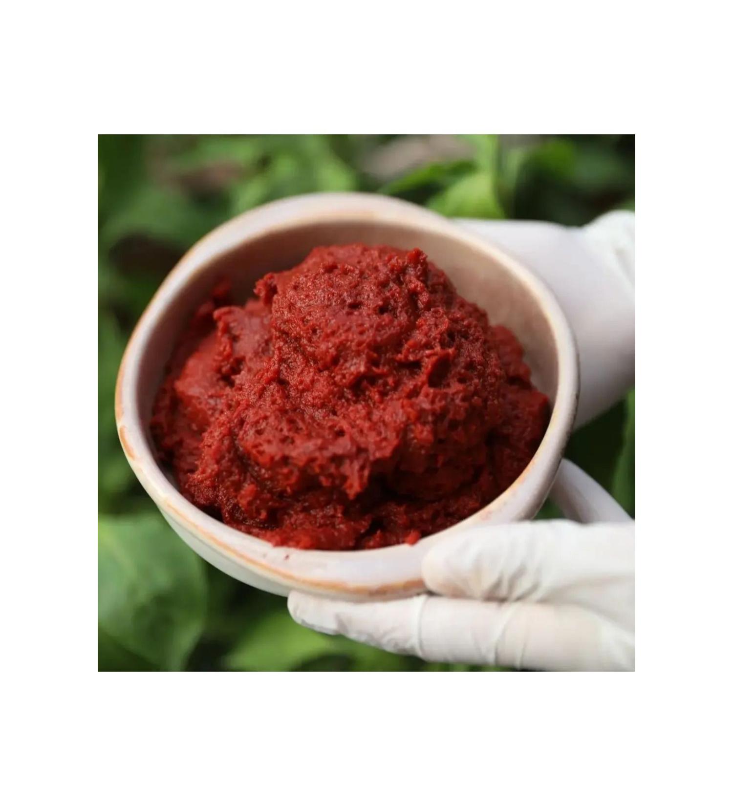 Apricot Land Tomato Paste 1kg