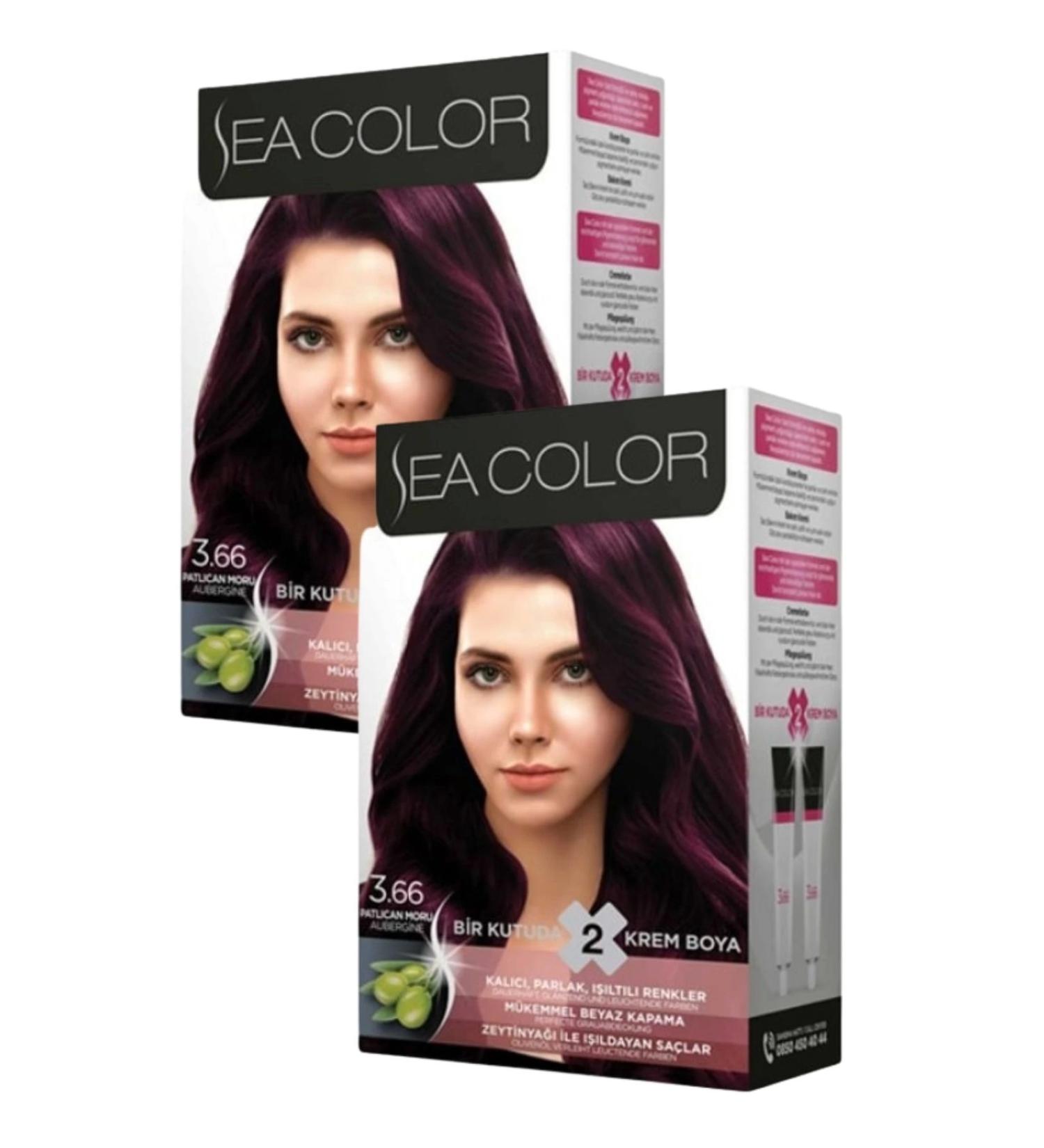 Sea Color 3/66 Eggplant Purple Hair Dye 100 ml X 2 Boxes