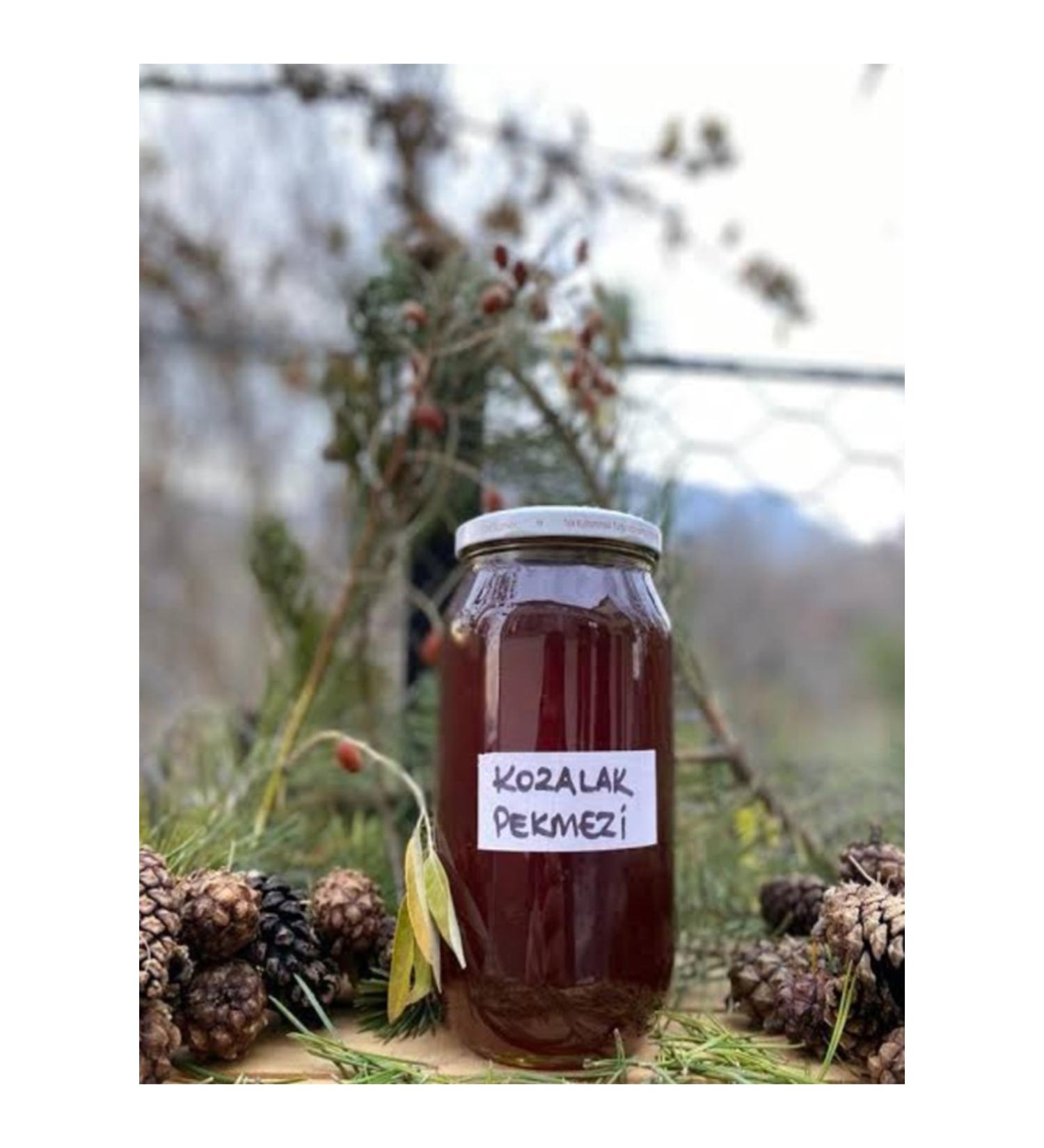 Bright Pine Cone (Jam) Molasses 720gr. - Buy Online on GoSupps.com