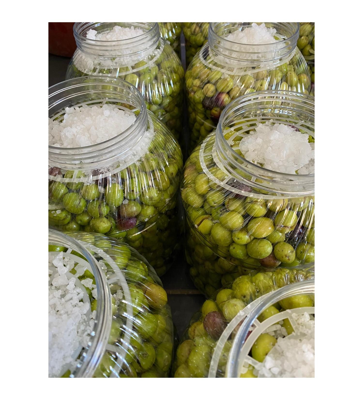 Mut Pearl Olives & Olive Oil Green Cracked Olives (4 pieces of 5 liter PET bottles) Bitter - Buy Online on GoSupps.com