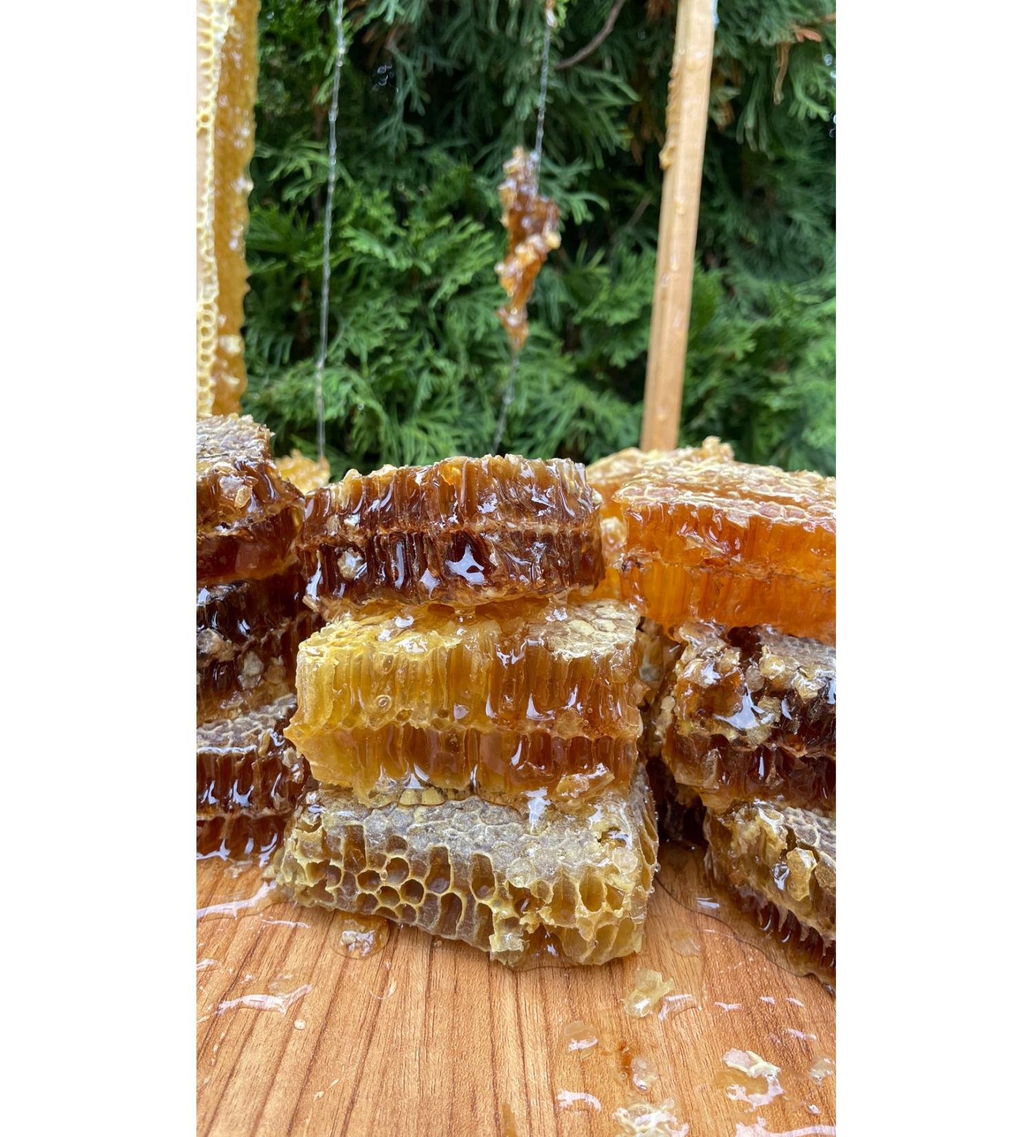 Kangal Balevim Natural Lath Comb Honey 3300 gr - Buy Online on GoSupps.com
