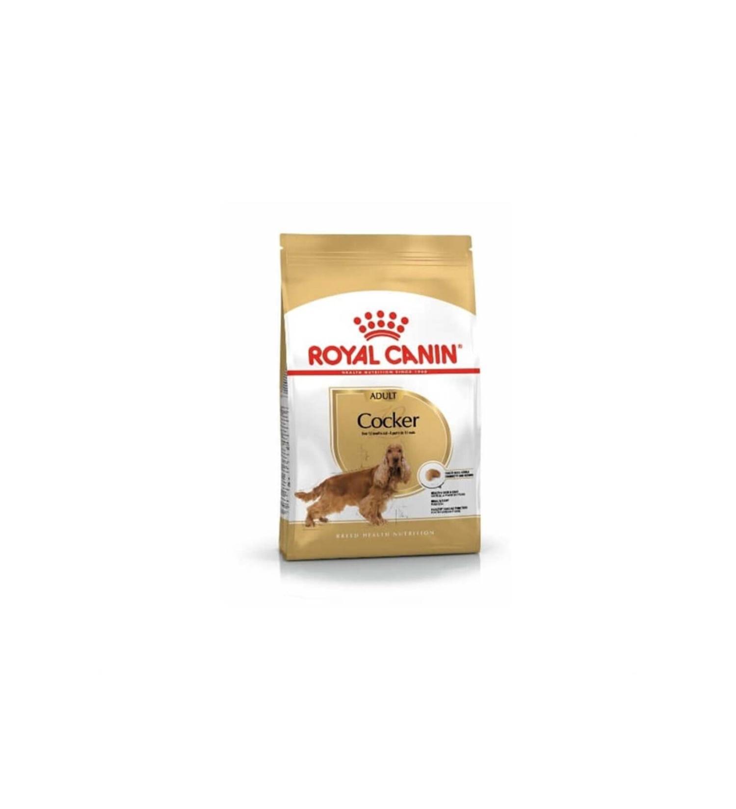 Royal Canin Cocker Breed Special Dog Food 3 Kg - Buy Online on GoSupps.com