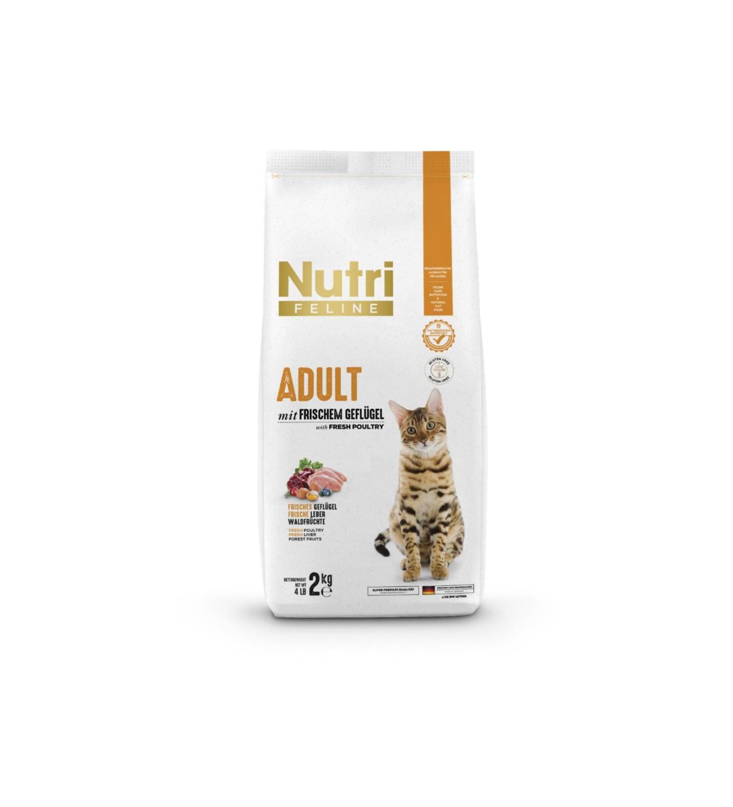 Nutri Feline Adult Cat Fresh Salmon Gluten-Free and Grain-Free 2 kg Dry Food - Nutri Feline Sterilized - Buy Online on GoSupps.com