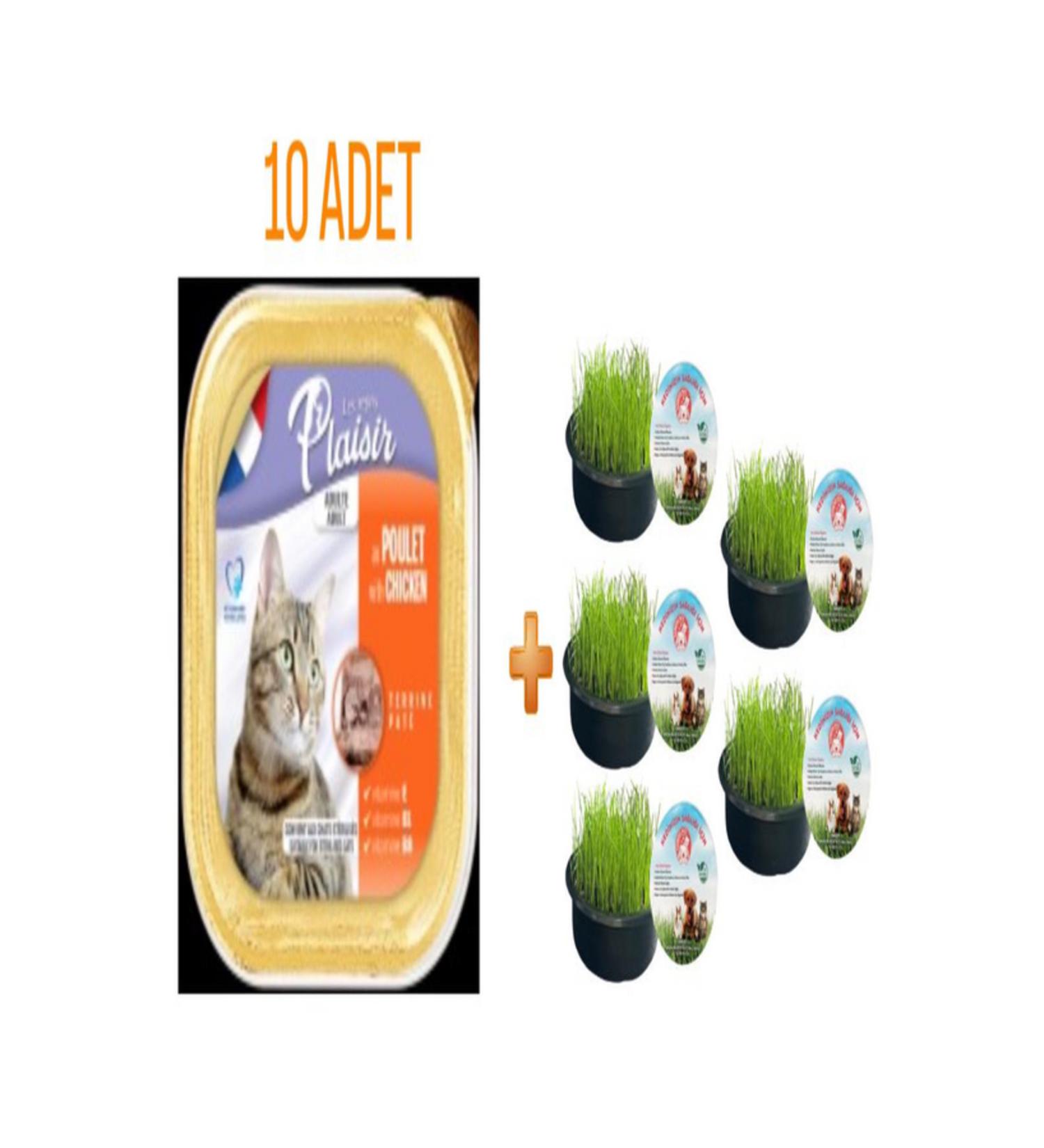 Plaisir Chicken Pate Sterilized Cat Wet Food 100 gr X 10 Pieces Sonrisa Pets Cat Grass 5 Li