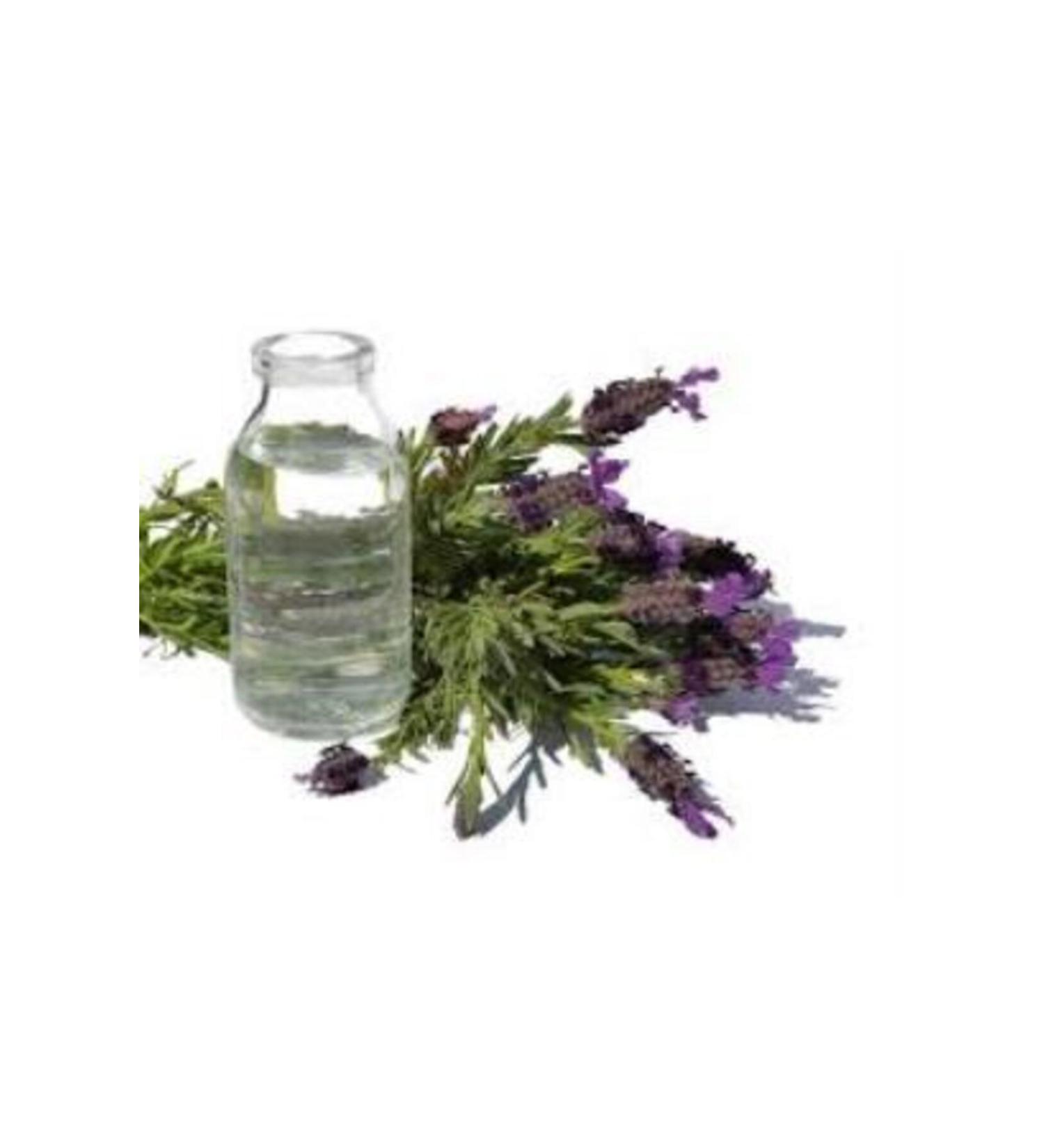 Mimosa Plant Market Intensely Fragrant Natural Lavender Water 1000 ml Lavender Water