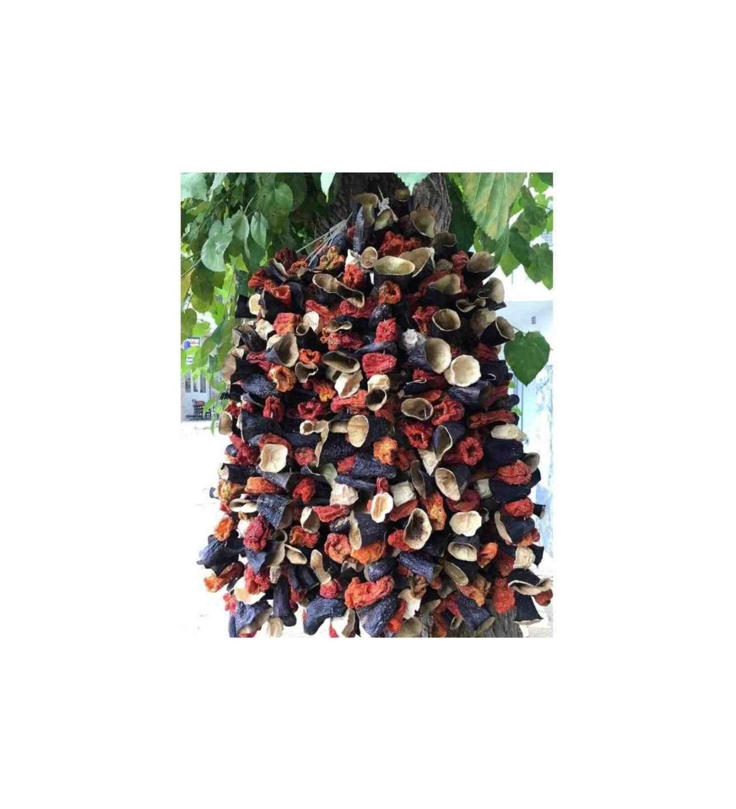 Aegean From Everywhere Full Mixed Nazilli Dried Eggplant-Zucchini-Pepper 10 Series New Crop