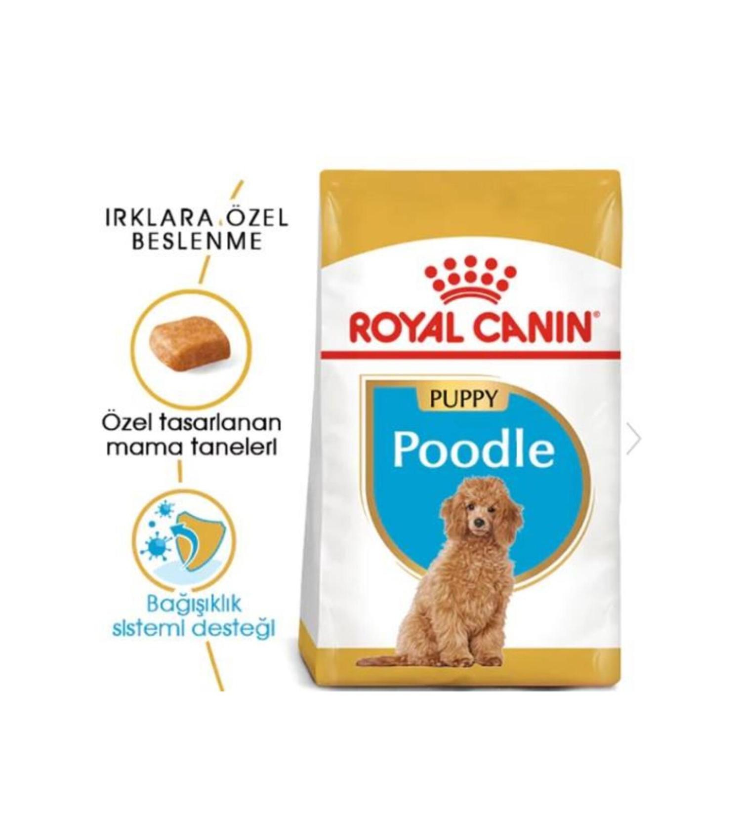 Royal Canin Dog Bhn Poodle Junior Dog Food 3 Kg - Buy Online on GoSupps.com