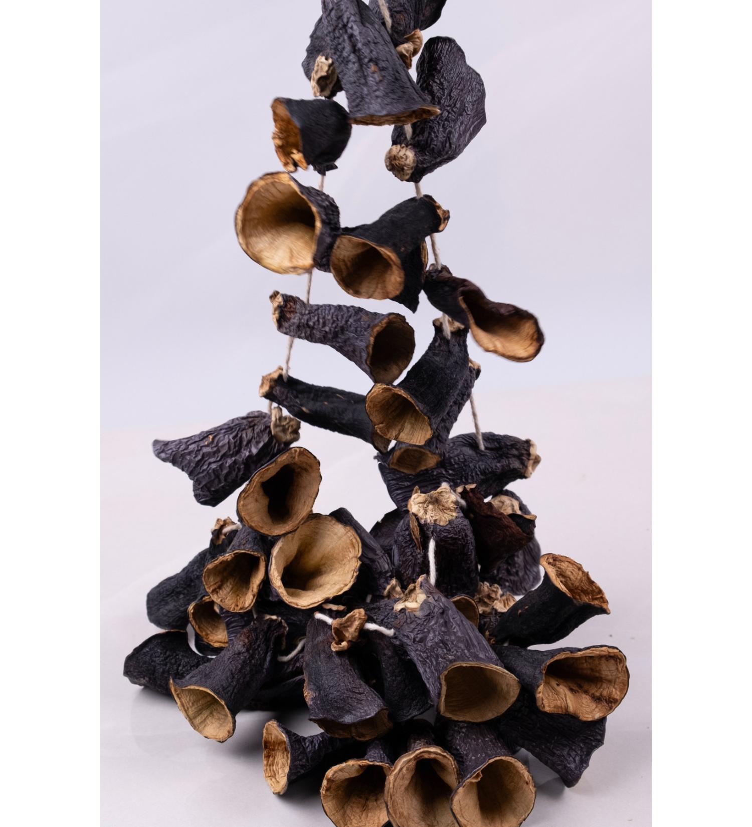 Chickpea Market Dried Eggplant - 1 Bunch