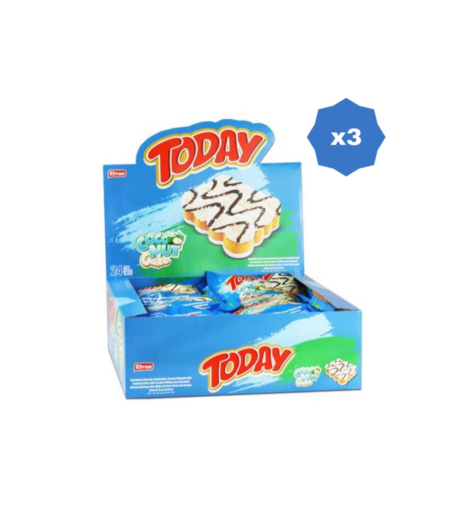 Elvan TODAY COCONUTE CAKE WITH COCONUT 40 GR 24 PIECES - (3 PACKS)