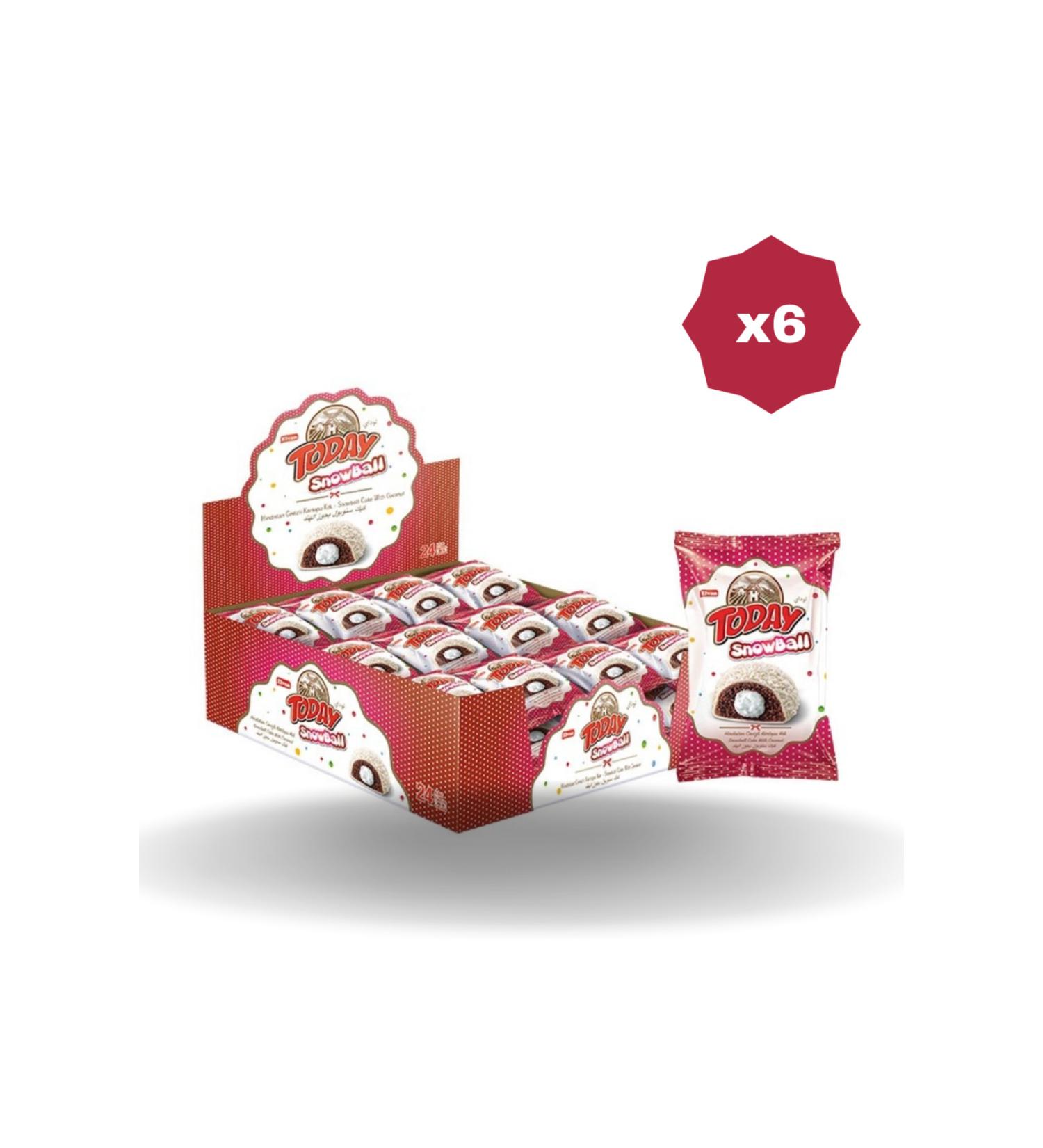 Elvan TODAY SNOWBALL COCONUT CAKE 35 GR - 6 PACKS