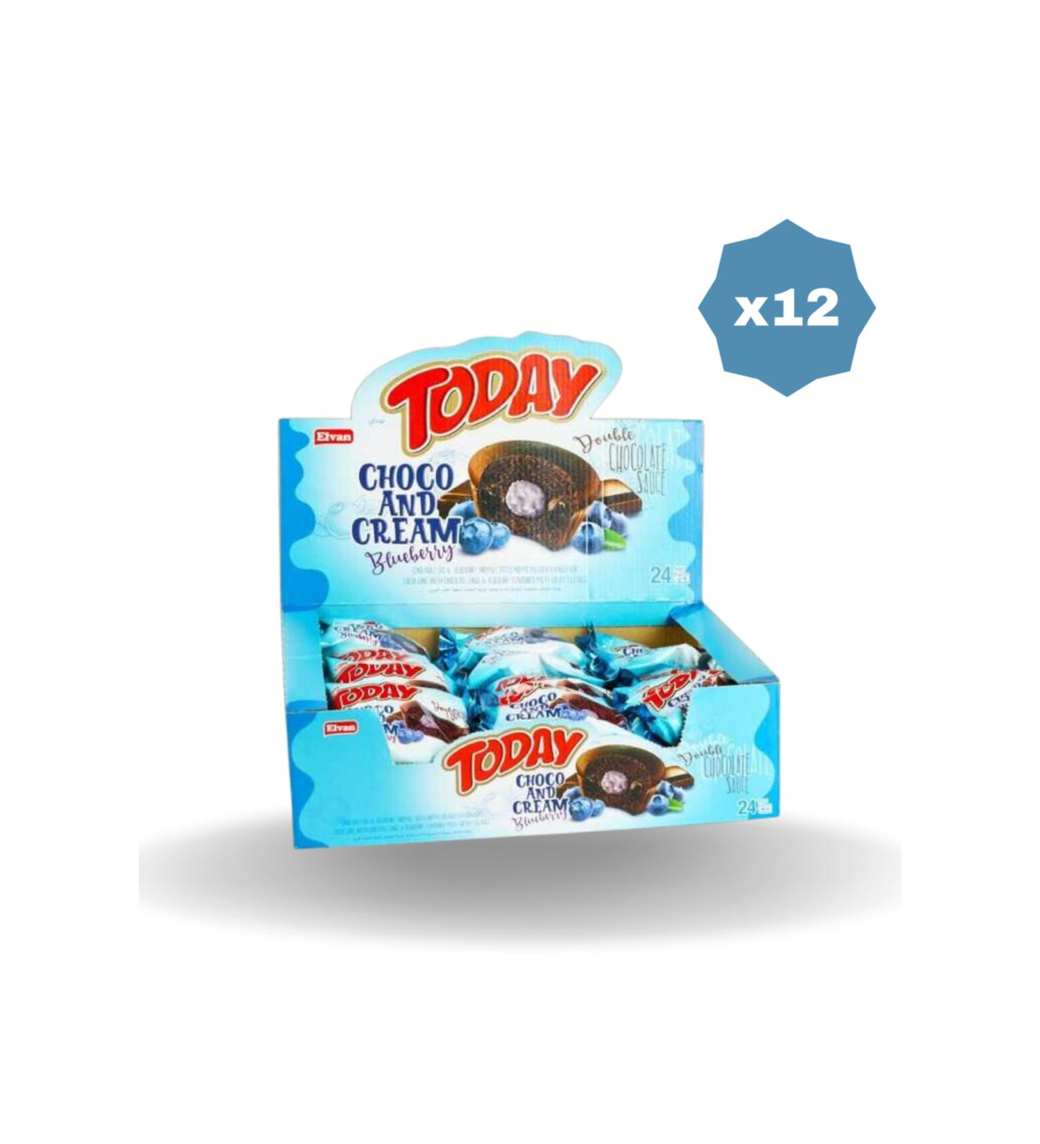 Elvan TODAY DOUBLE CHOCO AND CREAM WITH BLUEBERRY 50 GR - 12 PACKS