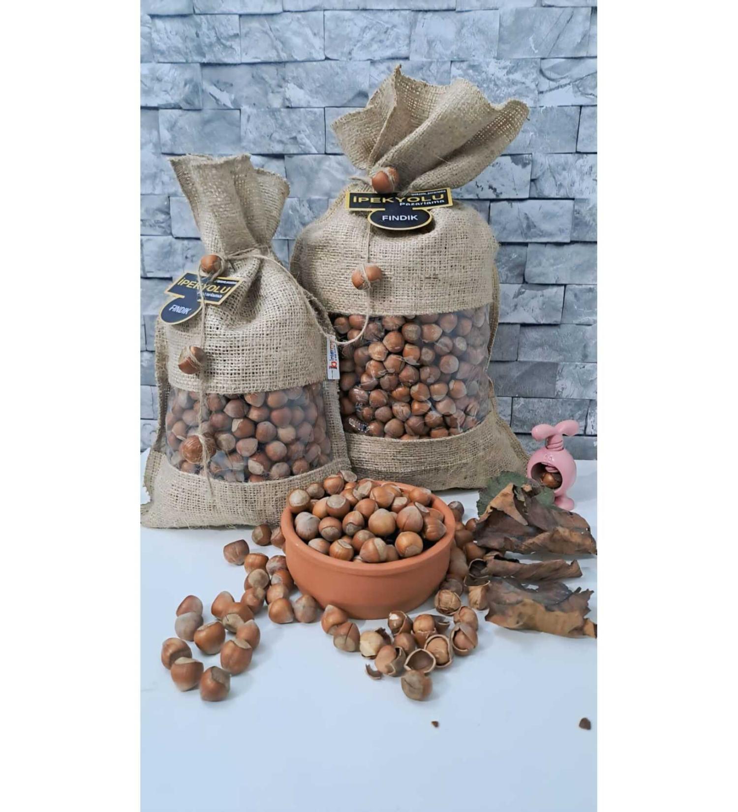 RADGX 1 Kg Hazelnut Oily Hazelnut Plump Hazelnut 1st quality Hazelnut - Buy Online on GoSupps.com