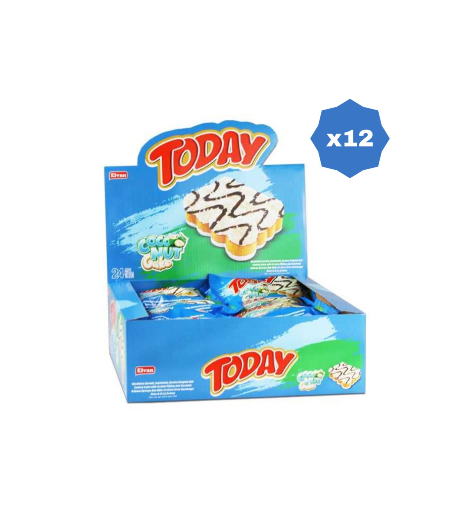 Elvan TODAY COCONUTE CAKE WITH COCONUT 40 GR 24-PIECE - (12 PACKS)