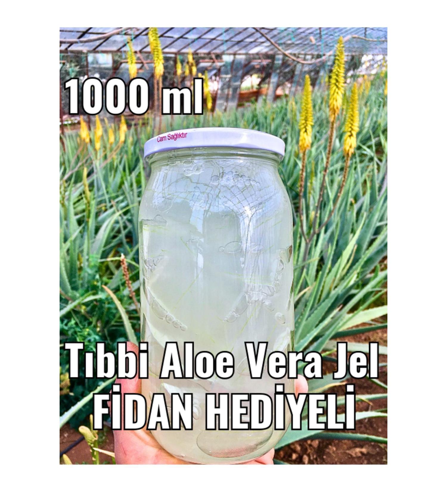 FidanBudur Aloe Vera Gel Natural 1000 Ml Drug-Free Production - Buy Online on GoSupps.com