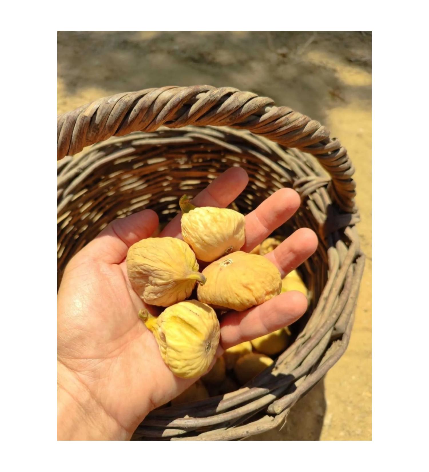 Natural Carefully selected thin-skinned honeyed Sar lop small size Ayd n Fig (1 kg)