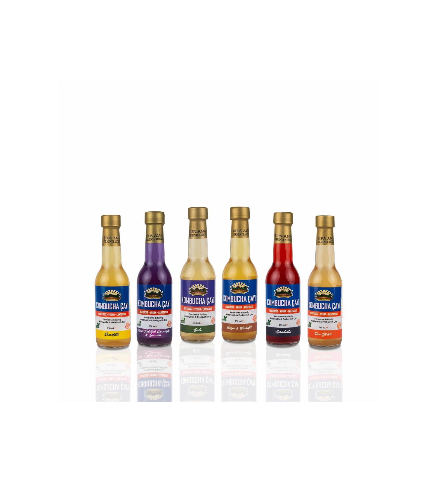 FERMENTE WORKSHOP Kombucha Trial Package