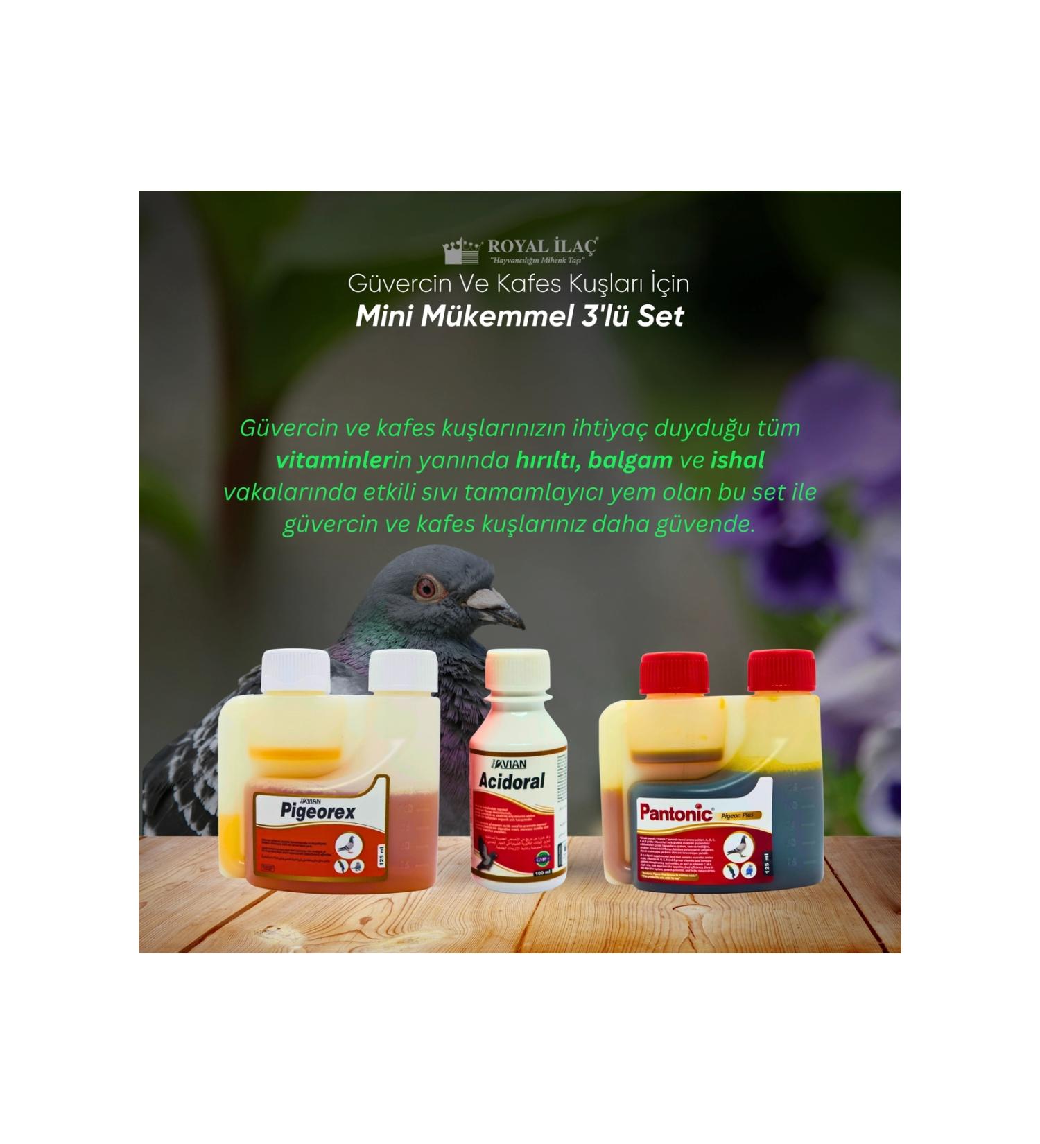 Royal la Royal la Perfect Triple Set for Pigeon Cage Birds and Poultry (ACIDORAL PIGEOREX PANTONIC)