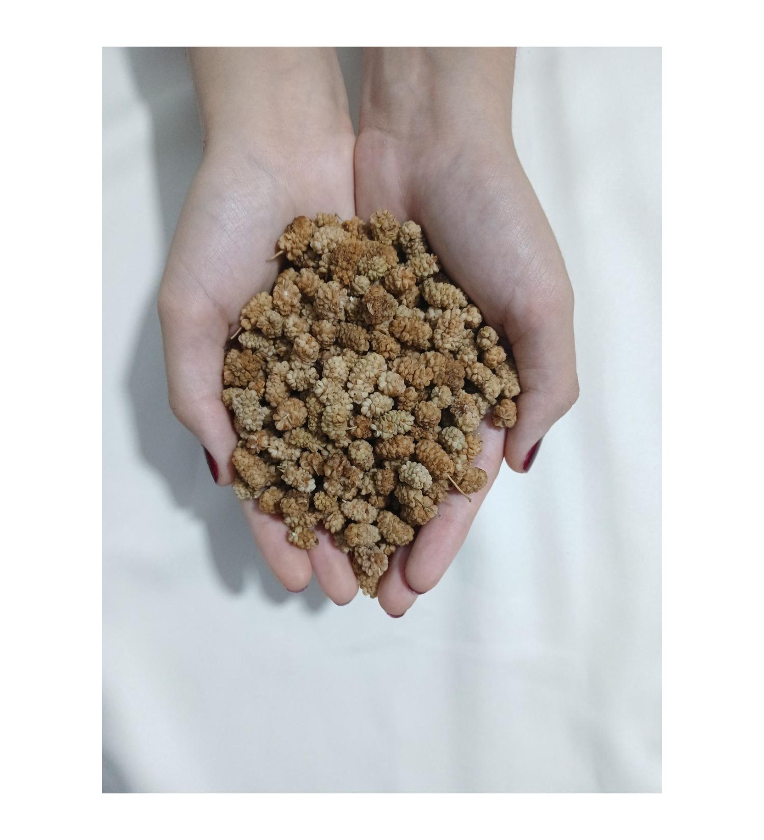 Y RESELLA Dried Mulberry 1 KG