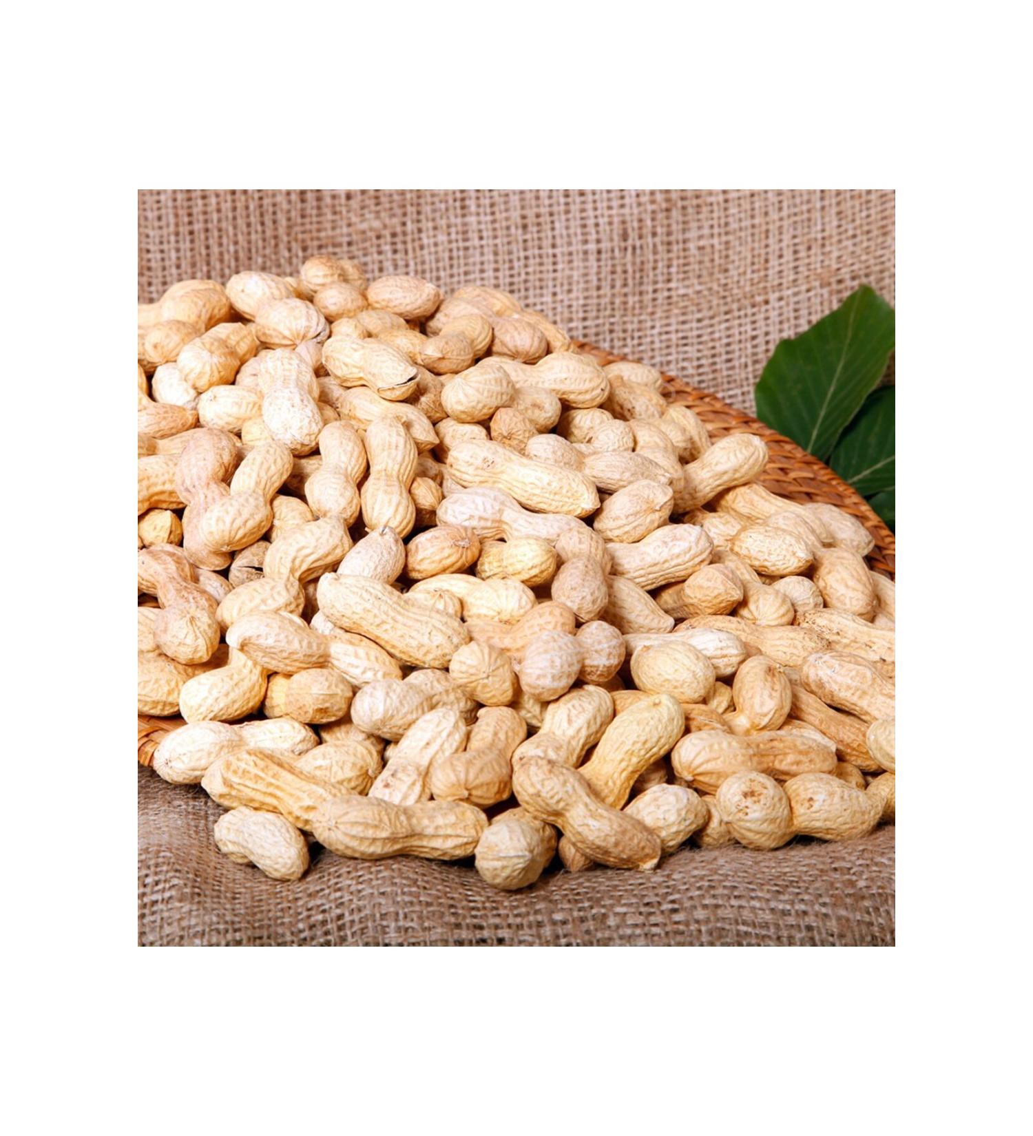 ROASTO 2 Kg Raw Peanuts (Unroasted)