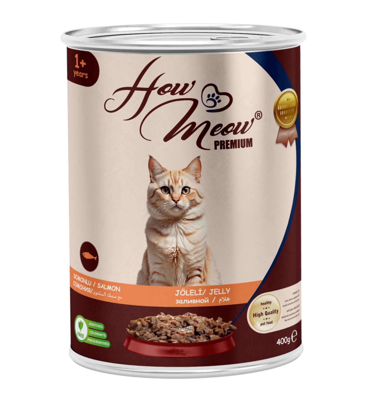 How Meow 12 Pieces Jelly Piece Meat Adult Cat Wet Food with Salmon 400 grams