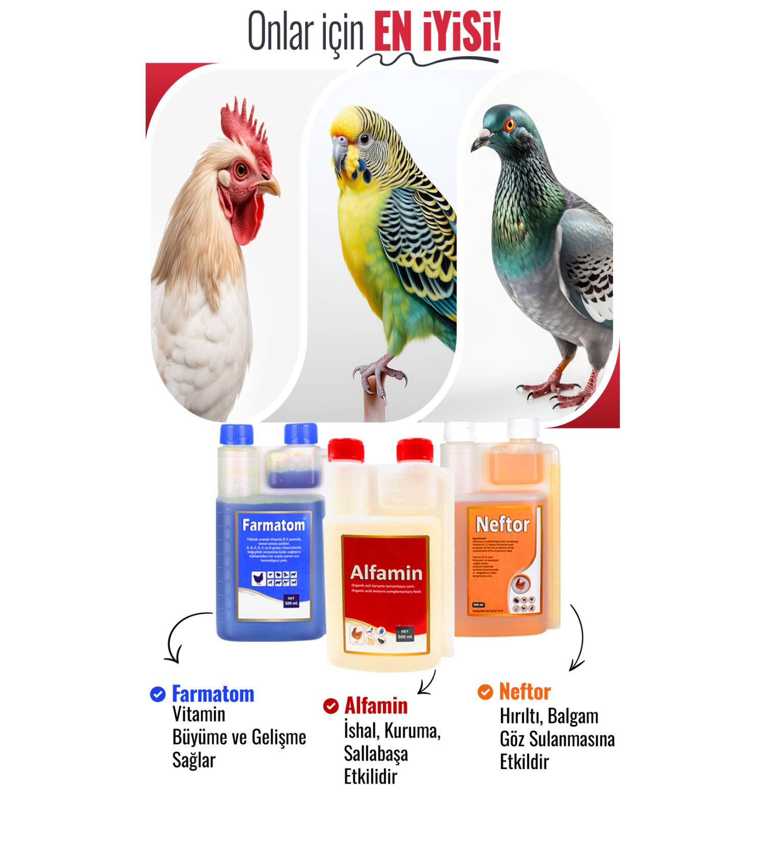 Munich Vet 3-Piece 1 Liter Set Farmatom 1 Liter Alfamin 1 Liter - Neftor 1 Liter - Buy Online on GoSupps.com