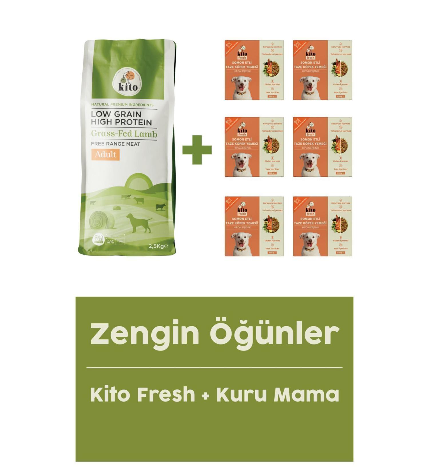 Kito Adult Dog Food 2.5 Kg + Salmon Meat Fresh X 6