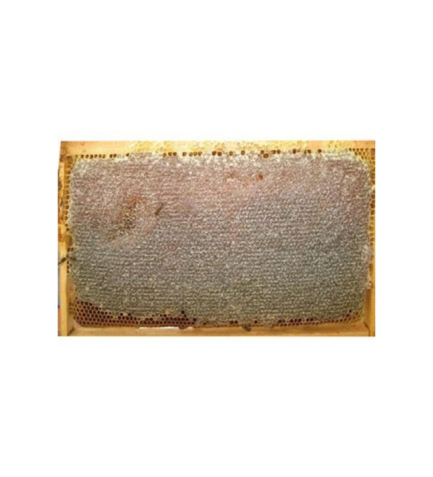 NUTRITION DETECTIVE Comb Flower Honey 850 gr