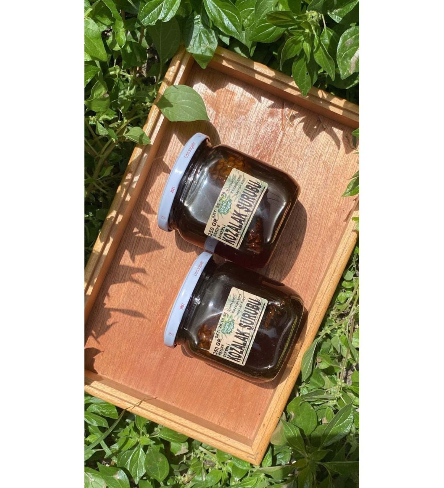 Natural Life 54 Cone Syrup (With Refined Sugar) 400 Gr