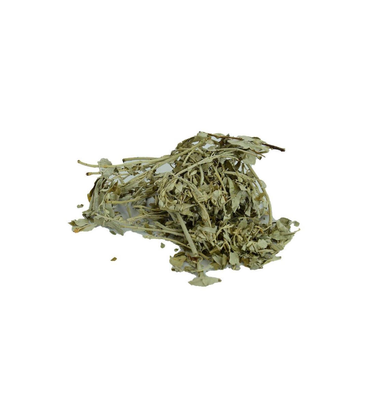 Astra Market Oleaster Leaf Natural 100 Gr Package