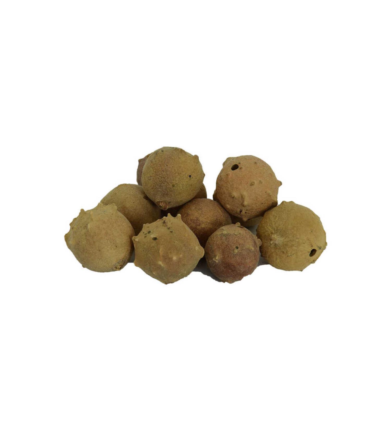 Simbastore Thuja Fruit Cone Natural 100 Gr Package