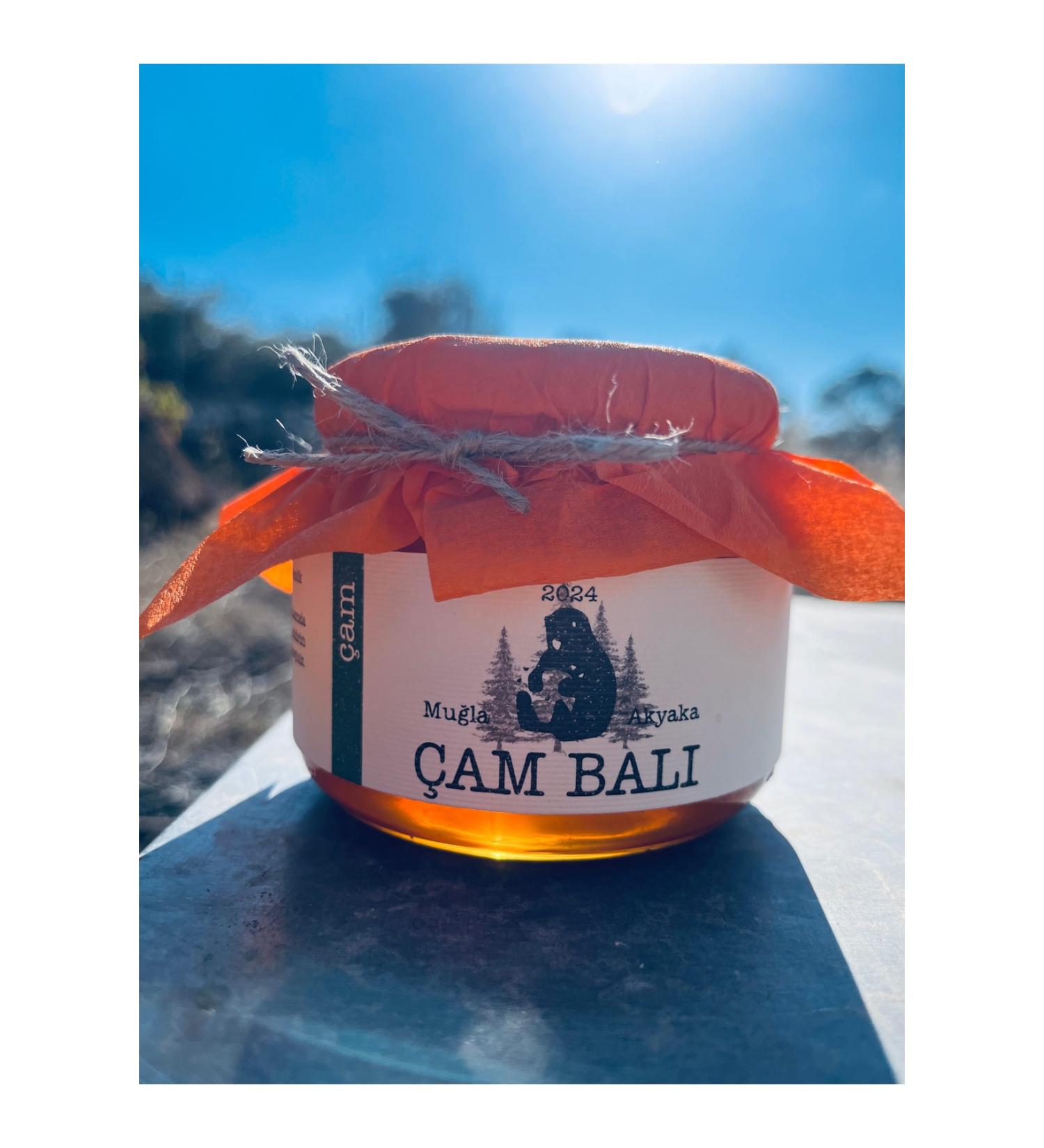 South Aegean Beekeeping Pine Honey 500 gr