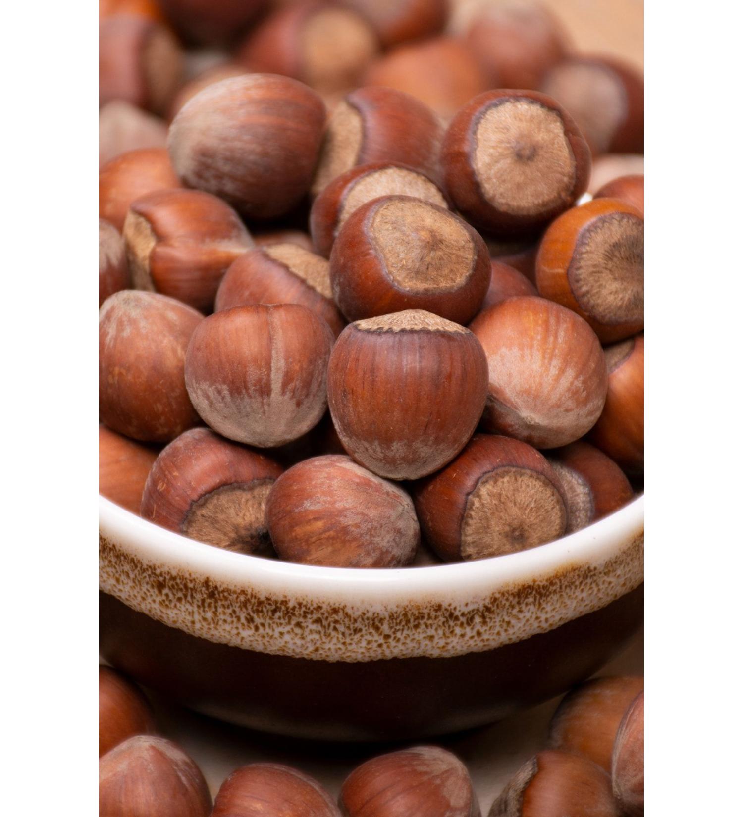 Bi Hazelnut Raw Hazelnuts in Shell 500gr.