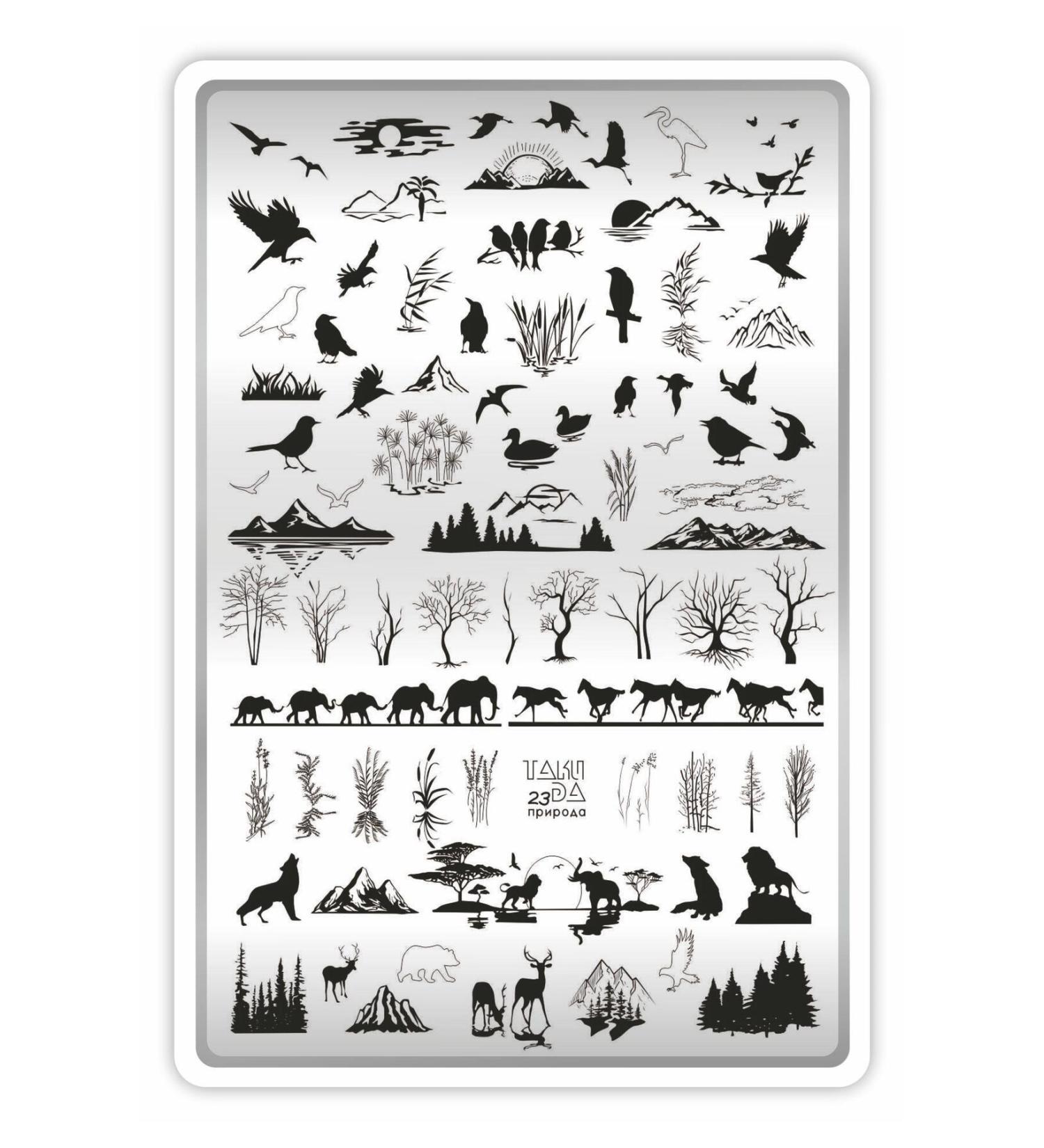 Takida Stamping Printing Plate Xl Nature 23