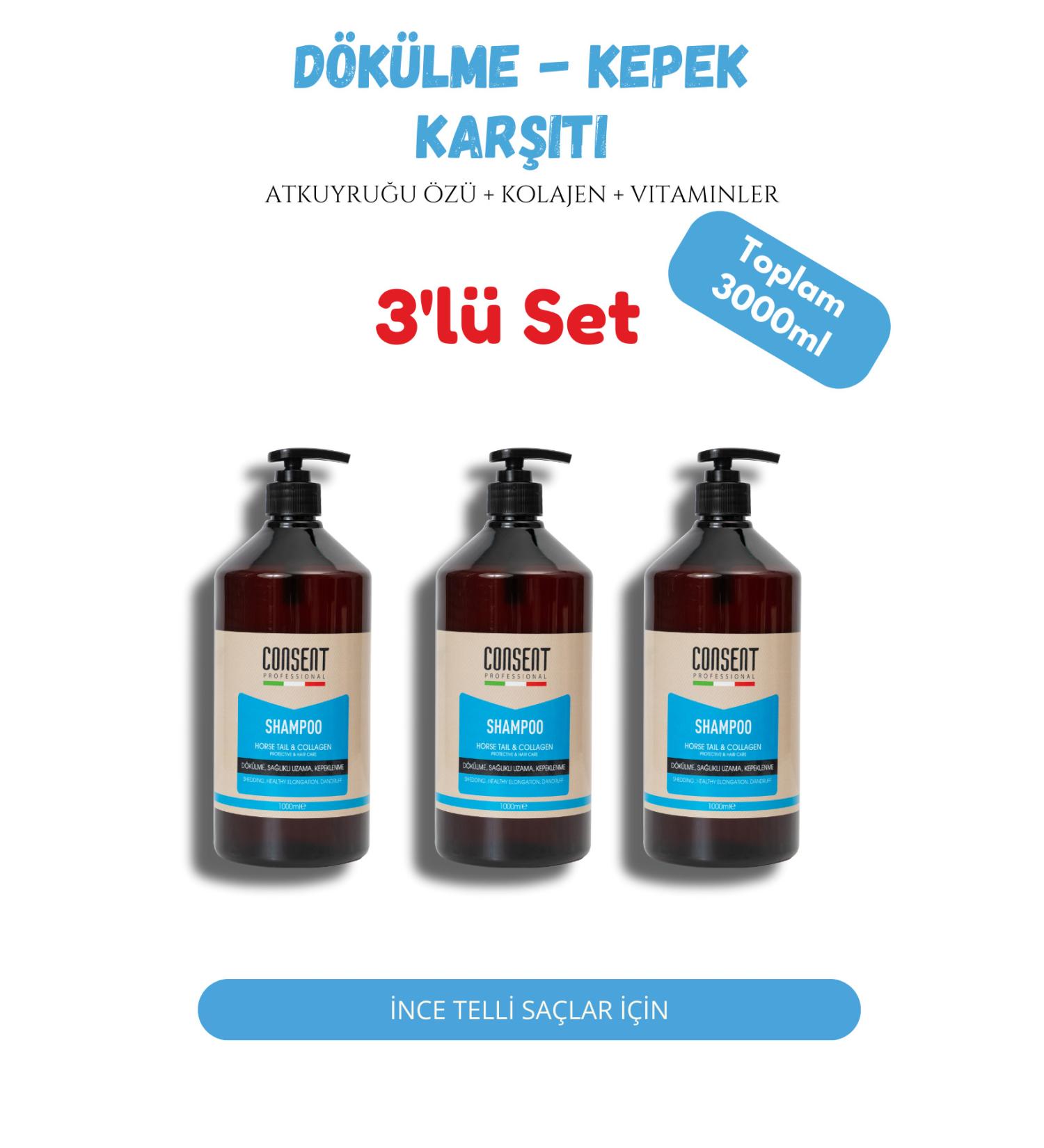 Consent Professionall Horsetail and Collagen Hair Care Shampoo Set for Hair Falling and Dandruff 3 Pieces 1000ml
