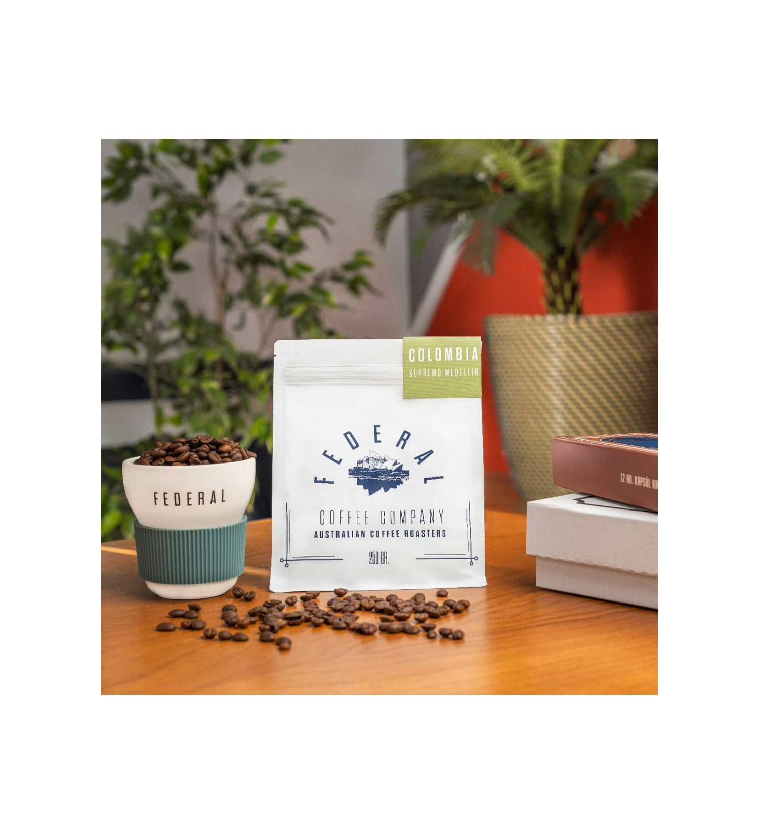 Federal Colombia Supremo Medellin