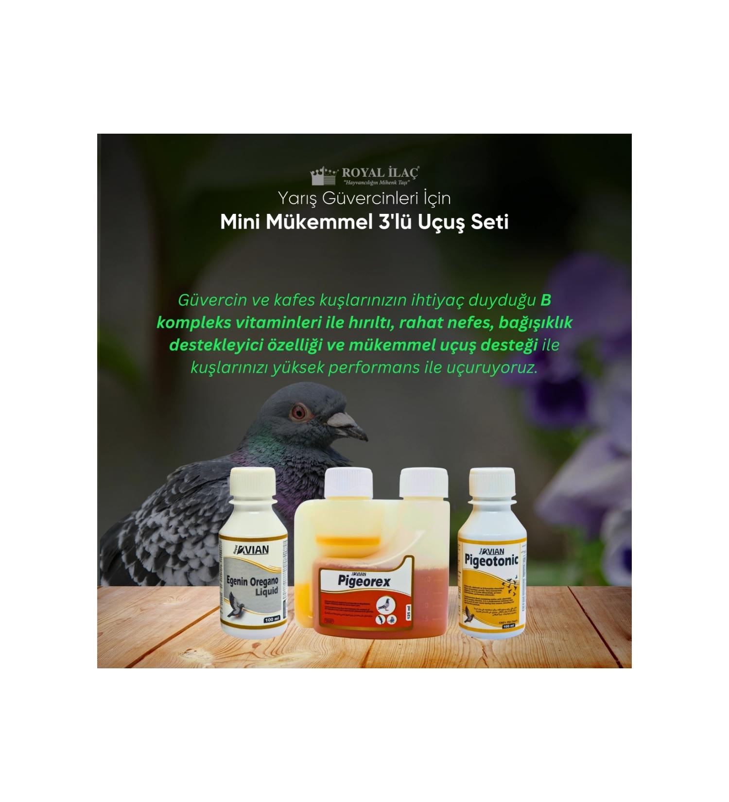 Royal la Royal la Racing Pigeons Mini Comfortable Breath High Performance and Perfect Flight Set