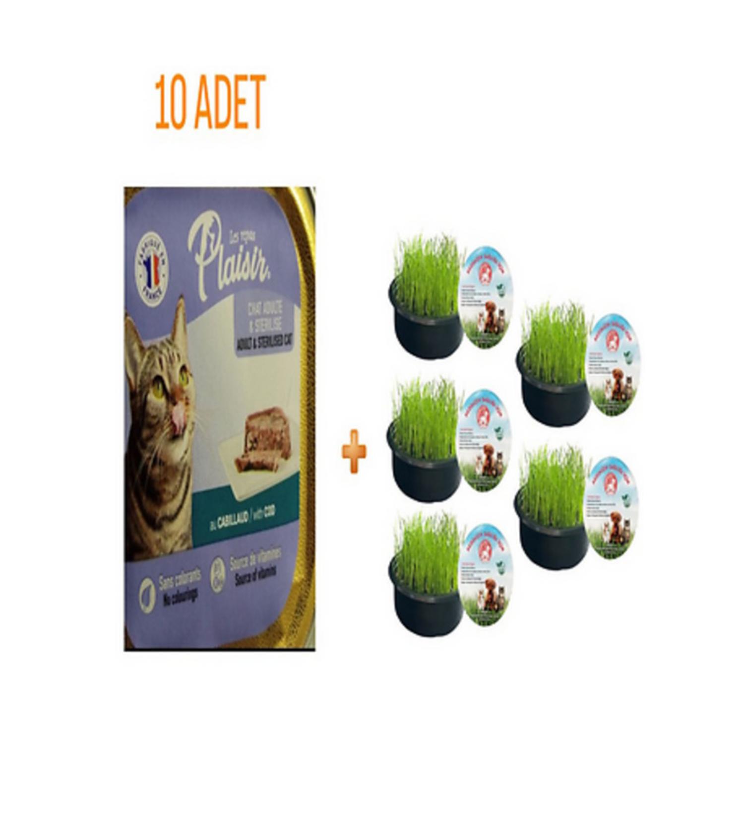Plaisir Codfish Pate Sterilized Cat Wet Food 100 gr X 10 Pieces Sonrisa Pets Cat Grass 5 Li