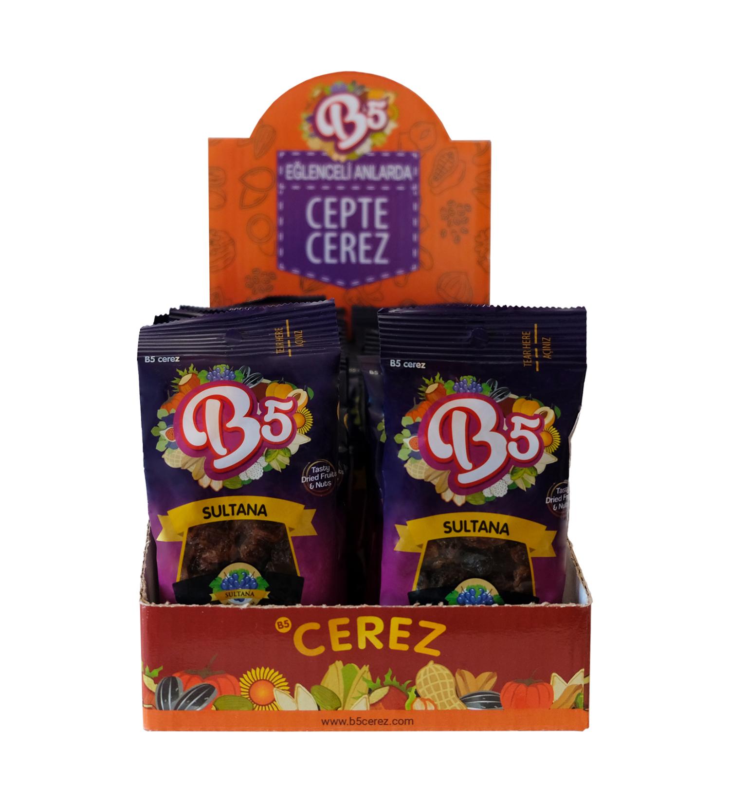 B5 Snack Raisins 16 x 40 gr