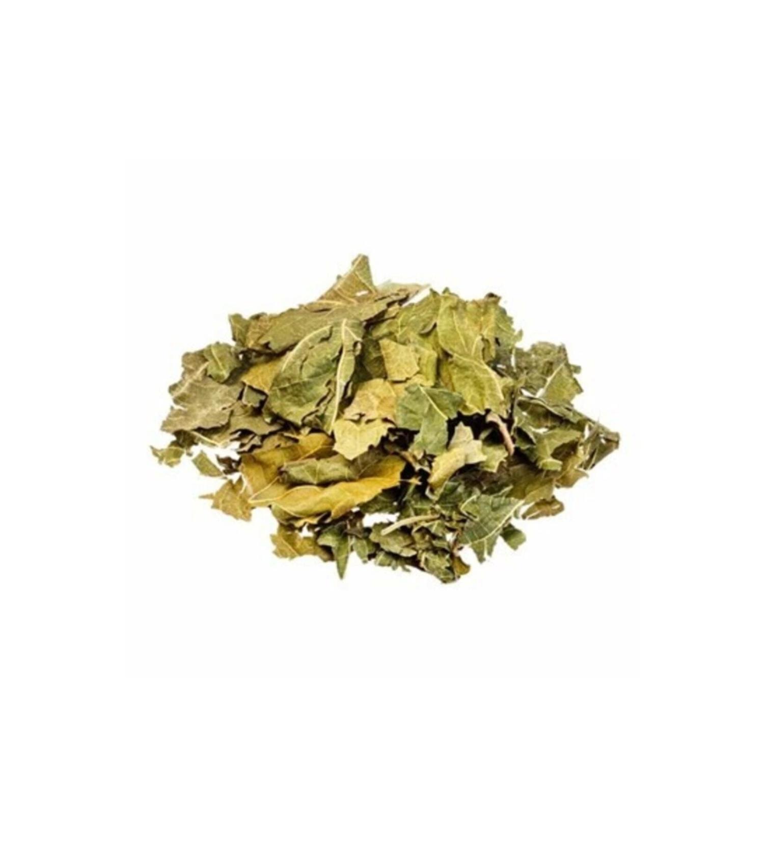 Dried White Mulberry Leaves 1kg