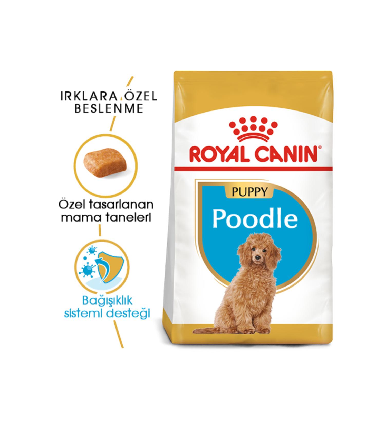 Royal Canin Bhn Poodle Puppy 3k