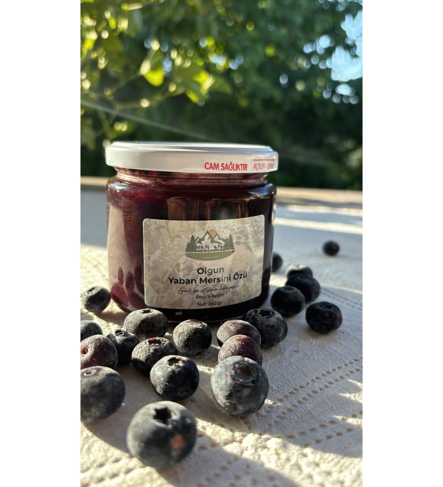 NATURAL KAPIDA BY BEYZA AYDIN RIPE BLUEBERRY EXTRACT (245 GR)