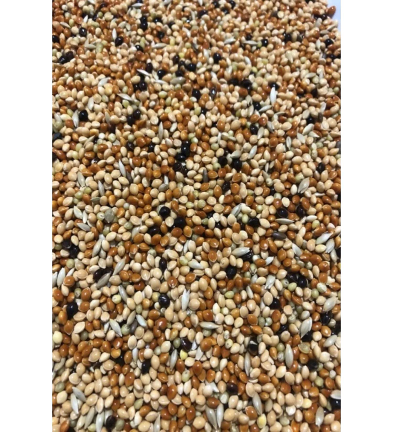 YeniBazaar Budgie Food Mixed Vitamin 5 KG - Fruitless New Crop Pure Bird Food - Lisinya