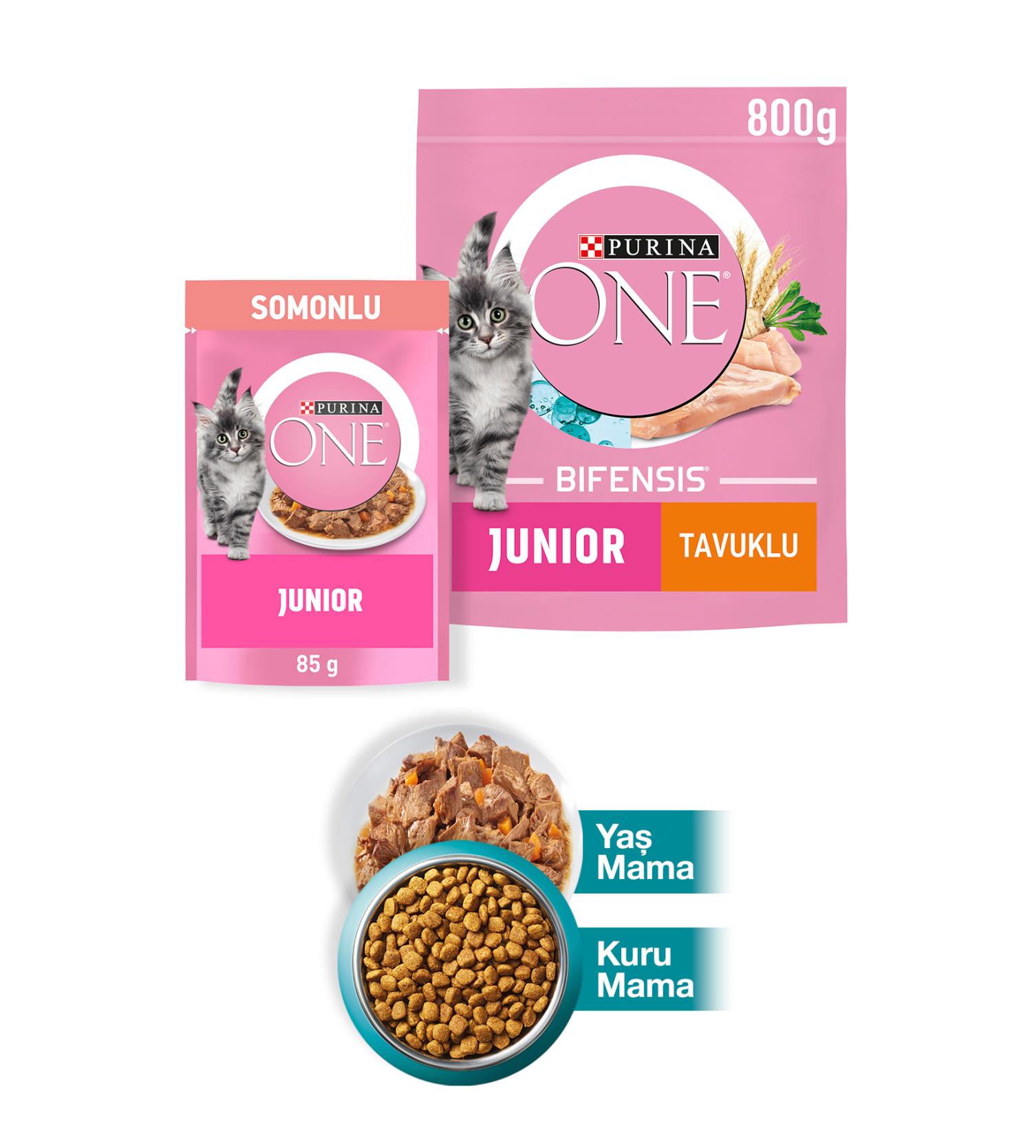 Purina One Junior Chicken Kitten Cat Food 800g + Junior Salmon Wet Kitten Cat Food 85g