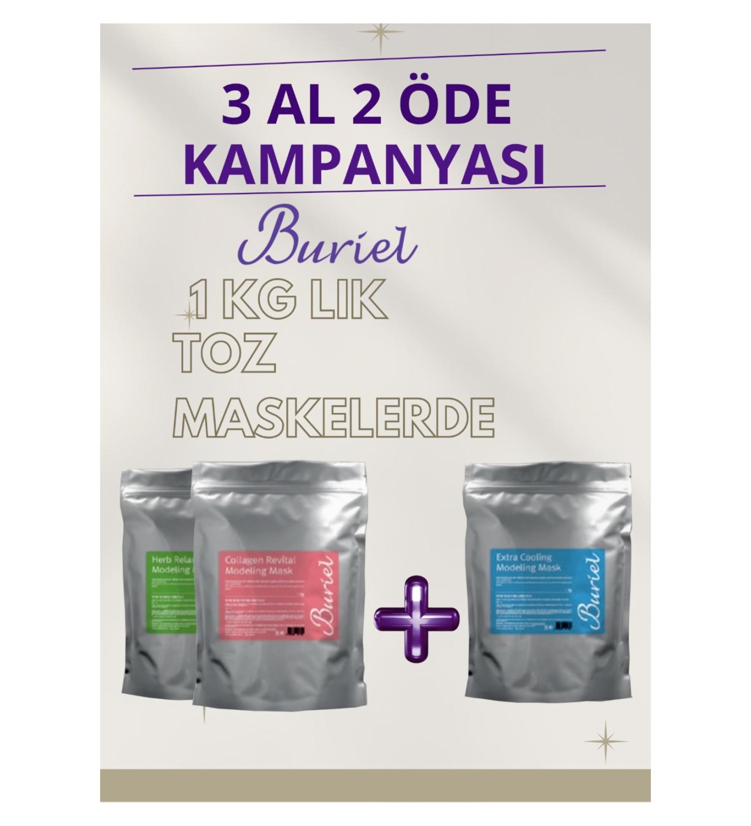BURIEL DUST MASK - (BUY 3 PAY 2 CAMPAIGN)