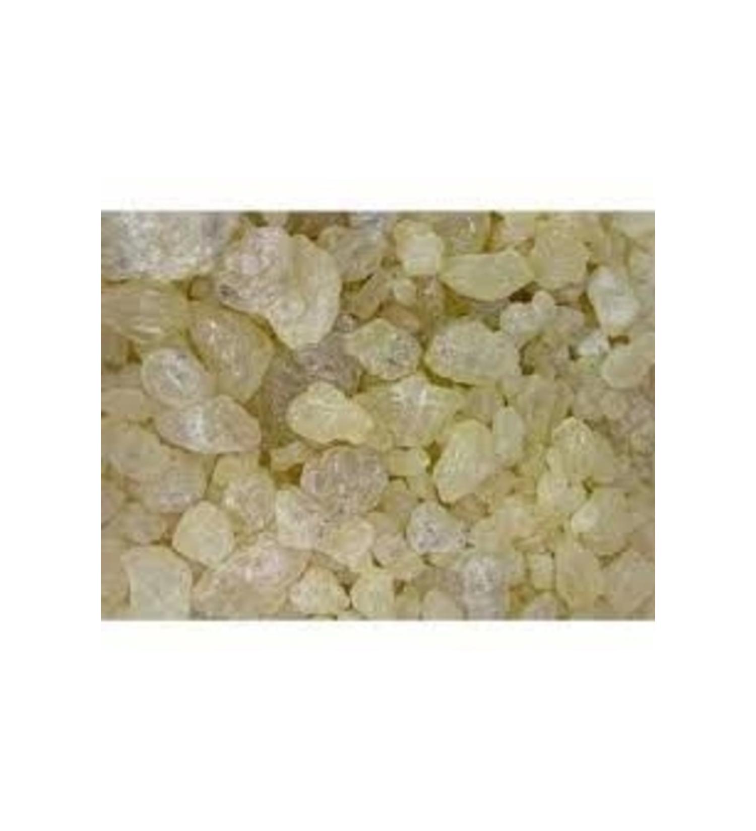 Botanical Health Bulk Products Sandaloz Gum - 100 Gr