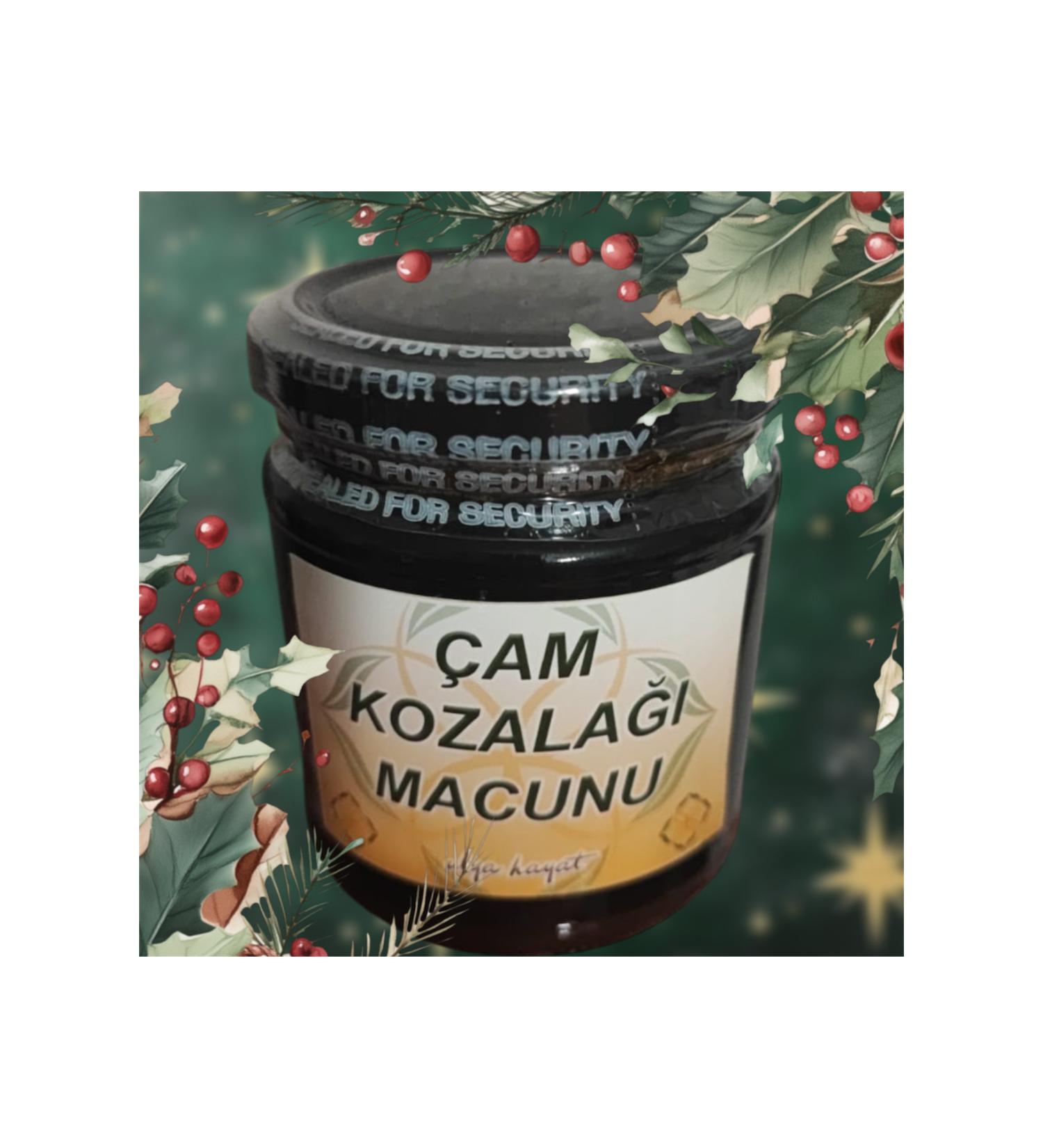 Pine Cone Paste from Ulya Hayat Ibn-i Sina Compound Healing Depot