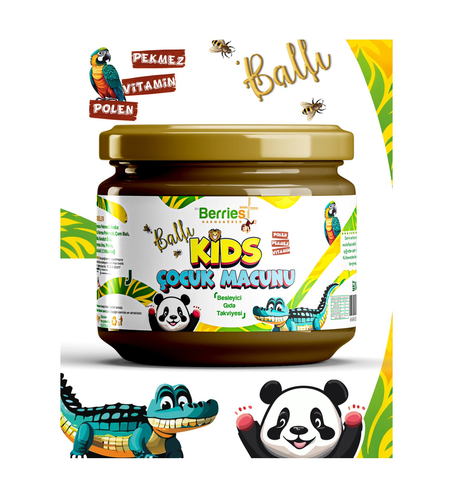 BH Berries Harman ren Honey Kids Children's Paste 240g