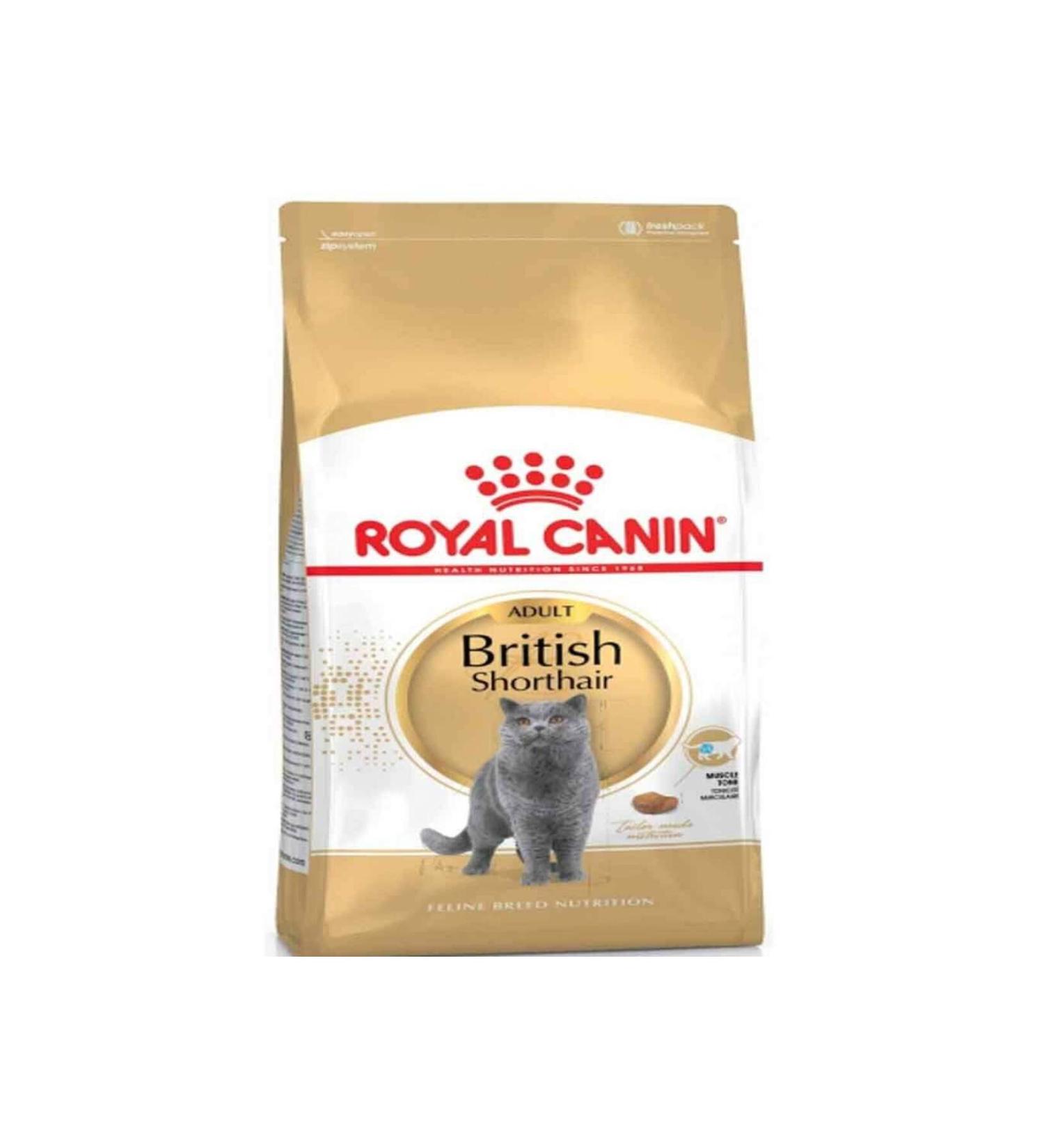 Royal Canin British Shorthair Cat Food 4 Kg