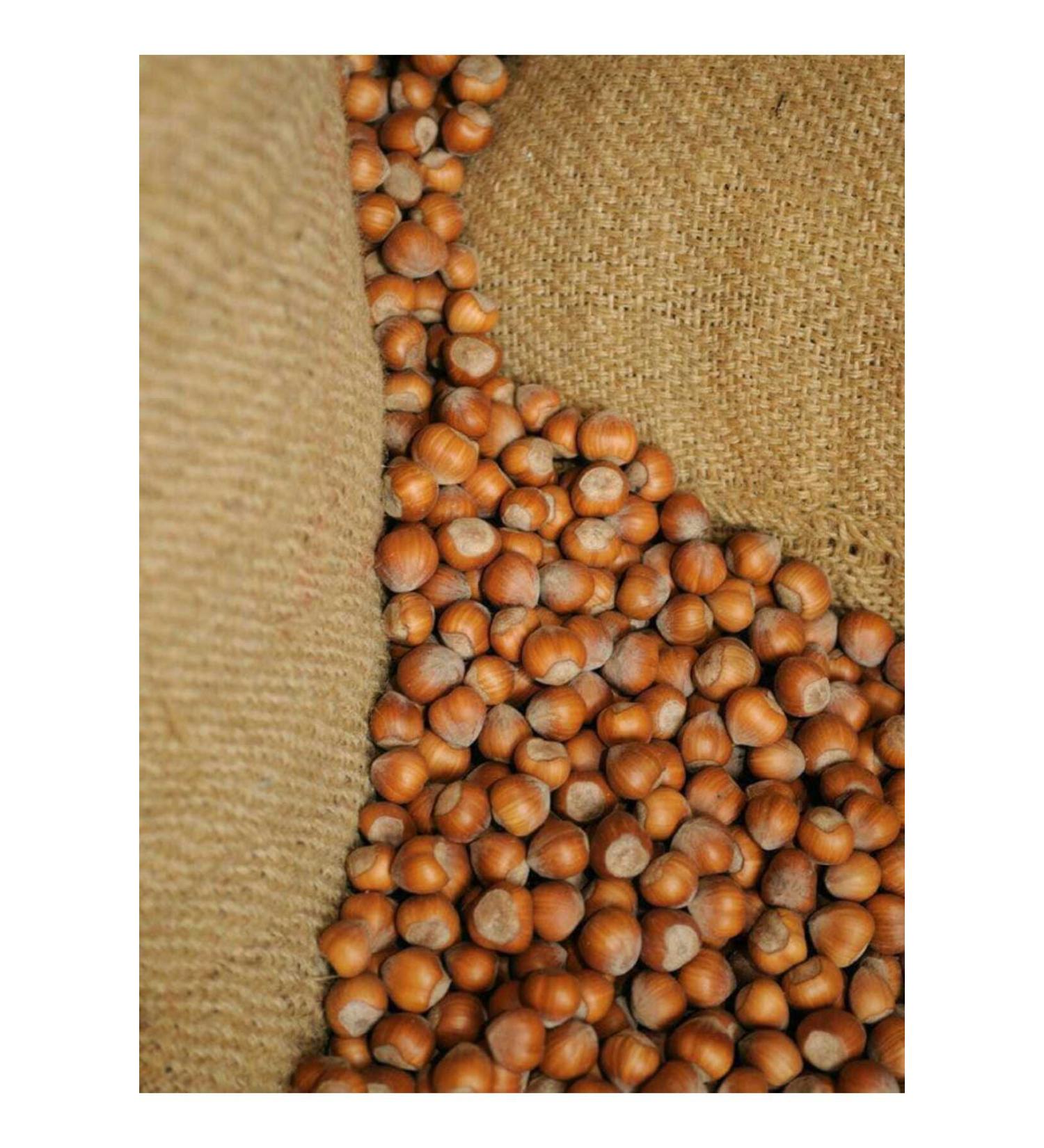 Lika Shelled Oiled Ordu Hazelnuts 1 Kg - Buy Online on GoSupps.com